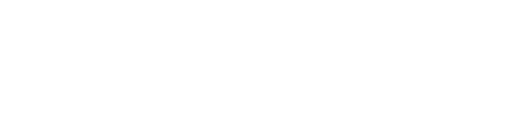 Logo EN_Funded_by_the_European_Union_RGB_WHITE_Outline- Consultoría Blockchain